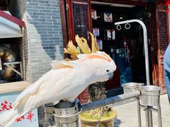 -四海楼(如皋定慧禅寺店)