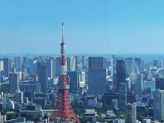 -六本木新城展望台(东京城市景观)
