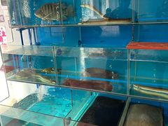 -鸿渡渔庄·特色鸭咀鱼