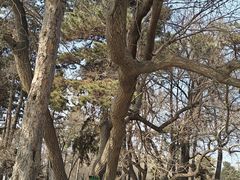 -长春市南湖公园