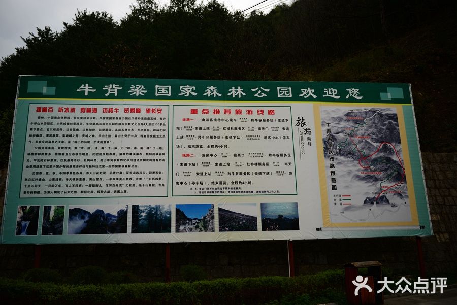 牛背梁国家森林公园图片