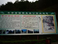 -牛背梁国家森林公园