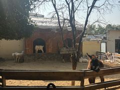 -HERRE·FARM 赫尔露营农场·团建聚会包场