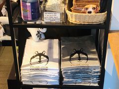 -TrueLove @ Neverland (Husky Cafe)