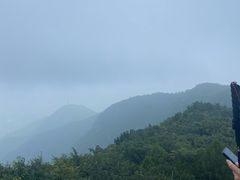 -阳台山自然风景区