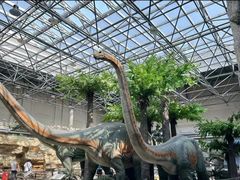 -国家自然博物馆