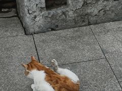 -龙华素斋(龙华路店)