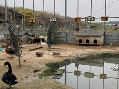 -河北村民俗体验园
