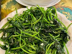 -亲子百果农庄