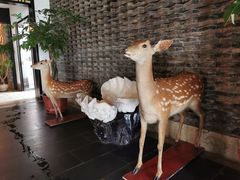 -健眺小海鲜(临海后山店)