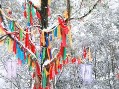 -九皇山景区