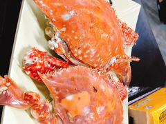 -大锅强·蒸海鲜青岛菜(吾悦广场店)