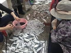 -朝陽市場