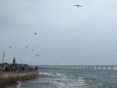 -星海广场
