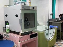 -乐琪宠物医院·犬猫专科·骨外科·急重症