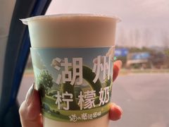 -猫的魔法密林(衣裳街店)