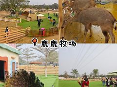 -盈香心动乐园