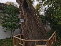 -拙政园