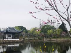 -无锡蠡湖国家湿地公园-蠡园