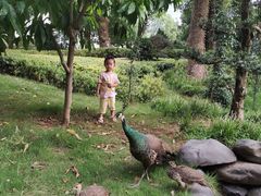 -华雅花园大酒店