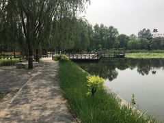 -望湖公园