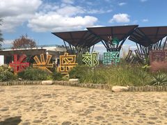 -上海长兴岛郊野公园