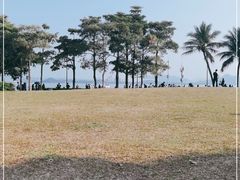 -深圳湾公园(南山区)
