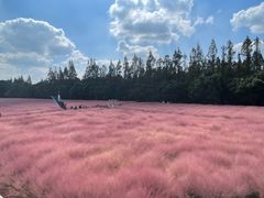 -嘉北郊野公园
