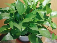 -和记小菜(名品店)