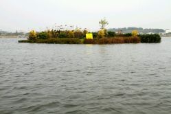 android_upload_pic-云湖游乐园