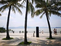 -深圳湾公园(南山区)