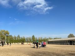 -北京群众马术培训基地