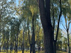 -森林公园(尖草坪区)