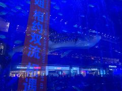 -成都浩海立方海洋公园