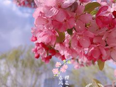 -海棠花溪(元大都城垣遗址公园)