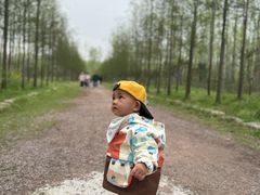 -合肥滨湖国家森林公园