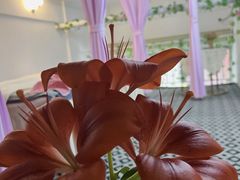 -大鹏佳兆业广场