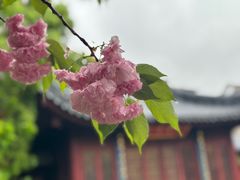 -下海庙