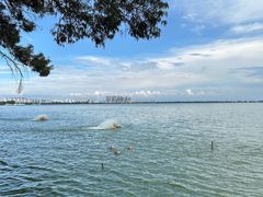 -滇池海埂公园