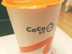焦糖奶茶-CoCo都可(西安路民勇店)
