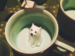 -猫的天空之城概念书店(苏州平江店)