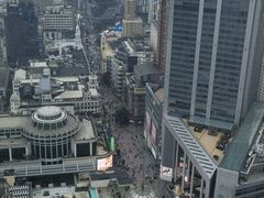 -上海新世界丽笙大酒店旋景餐厅(人民广场店)
