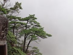 -萍乡武功山风景名胜区