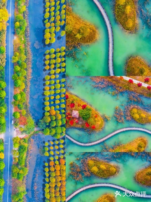 泗洪洪泽湖湿地景区图片