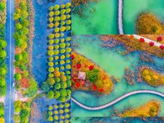 -泗洪洪泽湖湿地景区