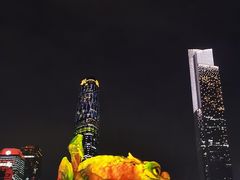 -海心沙亚运公园