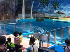 -福州罗源湾海洋世界旅游区