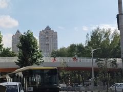 -黑龙江中医药大学