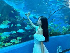 -合肥海洋世界