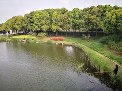 -美兰湖景区